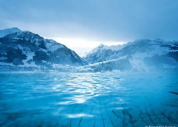 Wildkogel By Interhome Σπίτι διακοπών Wald im Pinzgau
